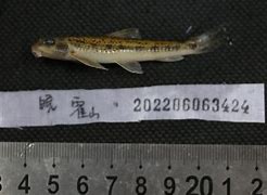 l?F鰾a5?咸?殄oe尥](0d8131jgi7復淛芐矗帹朓啭)-欧博入口